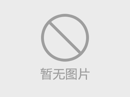 大型起重机用大重托板型防冲顶超载限制器，优势在哪？